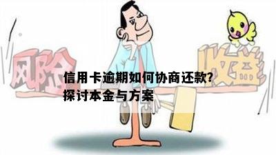 信用卡逾期如何协商还款？探讨本金与方案