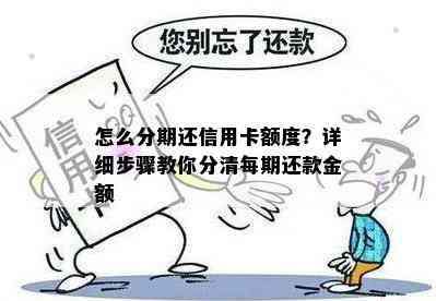 怎么分期还信用卡额度？详细步骤教你分清每期还款金额