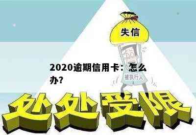 2020逾期信用卡：怎么办？