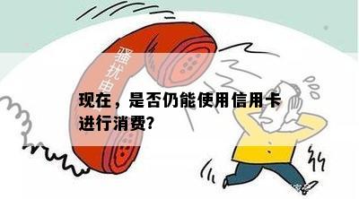 现在，是否仍能使用信用卡进行消费？