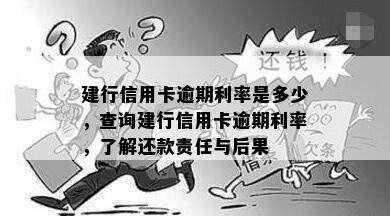 建行信用卡逾期利率是多少，查询建行信用卡逾期利率，了解还款责任与后果