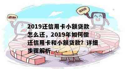 2019还信用卡小额贷款怎么还，2019年如何偿还信用卡和小额贷款？详细步骤解析