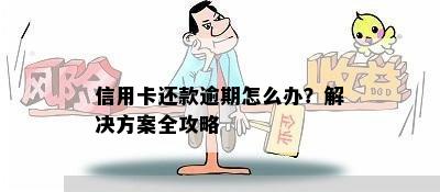 信用卡还款逾期怎么办？解决方案全攻略