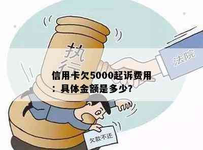 信用卡欠5000起诉费用：具体金额是多少？