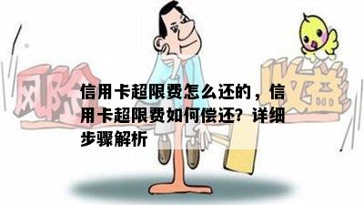 信用卡超限费怎么还的，信用卡超限费如何偿还？详细步骤解析