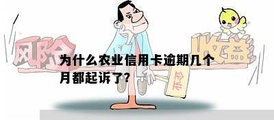 为什么农业信用卡逾期几个月都起诉了？