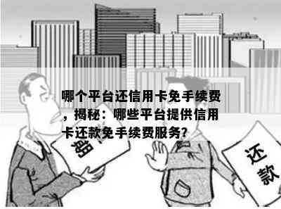 哪个平台还信用卡免手续费，揭秘：哪些平台提供信用卡还款免手续费服务？