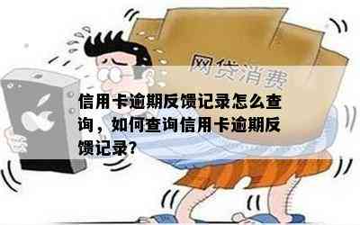 信用卡逾期反馈记录怎么查询，如何查询信用卡逾期反馈记录？