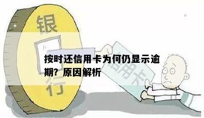 按时还信用卡为何仍显示逾期？原因解析