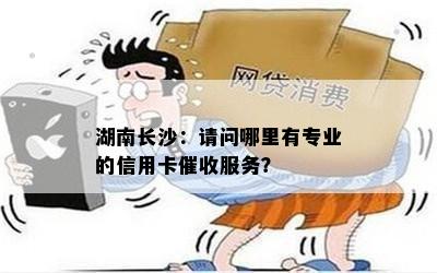 湖南长沙：请问哪里有专业的信用卡服务？