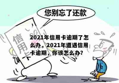 2021年信用卡逾期了怎么办，2021年遭遇信用卡逾期，你该怎么办？