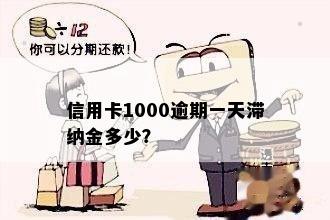 信用卡1000逾期一天滞纳金多少？