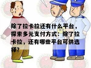 除了拉卡拉还有什么平台，探索多元支付方式：除了拉卡拉，还有哪些平台可供选择？