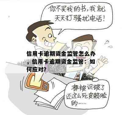 信用卡逾期资金监管怎么办，信用卡逾期资金监管：如何应对？