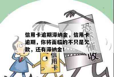 信用卡逾期滞纳金，信用卡逾期，你将面临的不只是欠款，还有滞纳金！