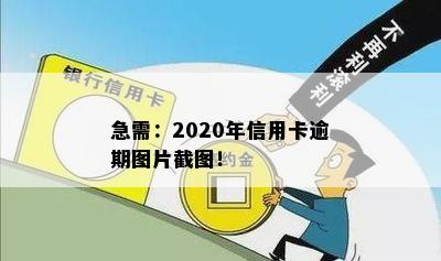 急需：2020年信用卡逾期图片截图！