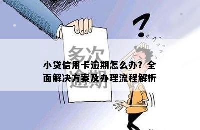 小贷信用卡逾期怎么办？全面解决方案及办理流程解析