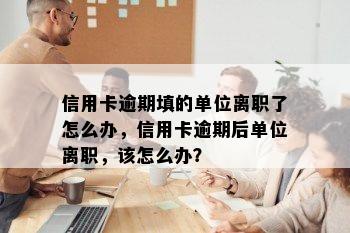 信用卡逾期填的单位离职了怎么办，信用卡逾期后单位离职，该怎么办？