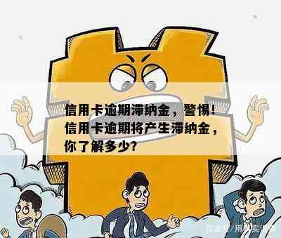 信用卡逾期滞纳金，警惕！信用卡逾期将产生滞纳金，你了解多少？