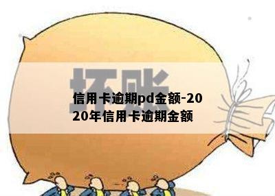 信用卡逾期pd金额-2020年信用卡逾期金额