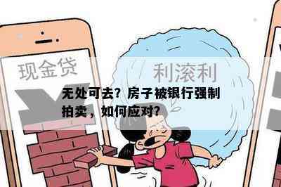 无处可去？房子被银行强制拍卖，如何应对？