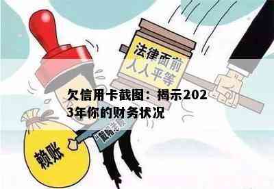 欠信用卡截图：揭示2023年你的财务状况