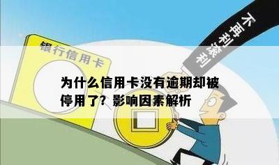 为什么信用卡没有逾期却被停用了？影响因素解析