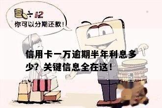 信用卡一万逾期半年利息多少？关键信息全在这！