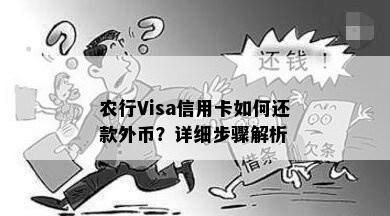 农行Visa信用卡如何还款外币？详细步骤解析