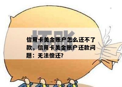 信用卡美金账户怎么还不了款，信用卡美金账户还款问题：无法偿还？