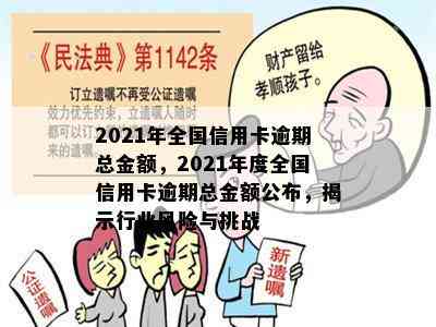 2021年全国信用卡逾期总金额，2021年度全国信用卡逾期总金额公布，揭示行业风险与挑战