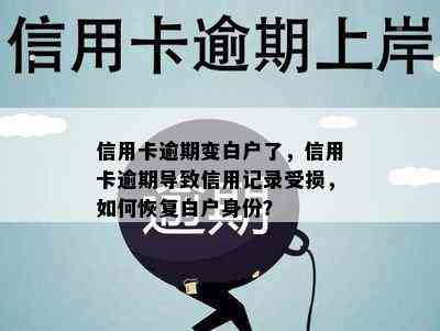 信用卡逾期变白户了，信用卡逾期导致信用记录受损，如何恢复白户身份？