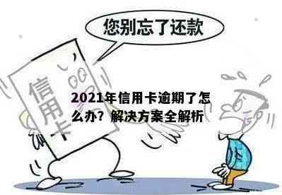 2021年信用卡逾期了怎么办？解决方案全解析