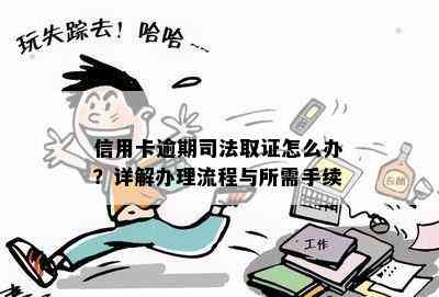 信用卡逾期司法取证怎么办？详解办理流程与所需手续