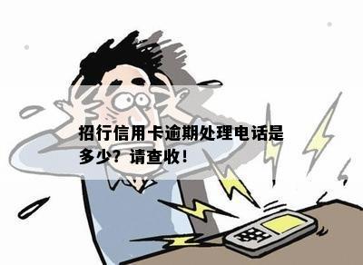 招行信用卡逾期处理电话是多少？请查收！