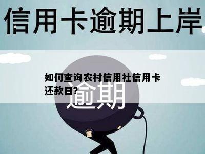 如何查询农村信用社信用卡还款日？