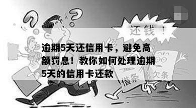 逾期5天还信用卡，避免高额罚息！教你如何处理逾期5天的信用卡还款