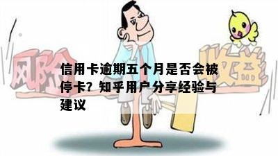 信用卡逾期五个月是否会被停卡？知乎用户分享经验与建议