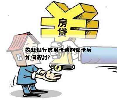 农业银行信用卡逾期锁卡后如何解封？