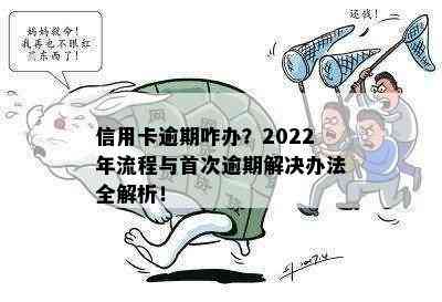 信用卡逾期咋办？2022年流程与首次逾期解决办法全解析！