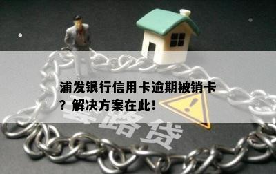 浦发银行信用卡逾期被销卡？解决方案在此！