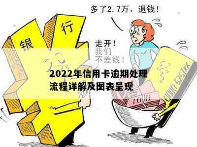 2022年信用卡逾期处理流程详解及图表呈现