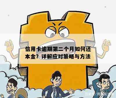 信用卡逾期第二个月如何还本金？详解应对策略与方法