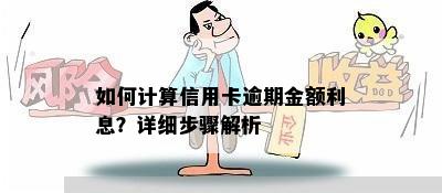 如何计算信用卡逾期金额利息？详细步骤解析