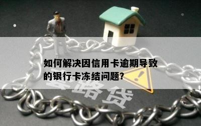 如何解决因信用卡逾期导致的银行卡冻结问题？