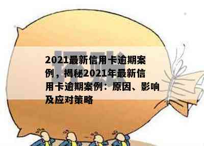 2021最新信用卡逾期案例，揭秘2021年最新信用卡逾期案例：原因、影响及应对策略