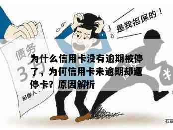 为什么信用卡没有逾期被停了，为何信用卡未逾期却遭停卡？原因解析