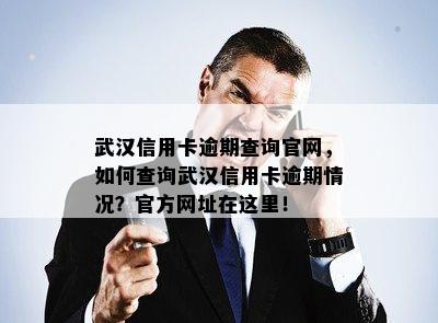 武汉信用卡逾期查询官网，如何查询武汉信用卡逾期情况？官方网址在这里！