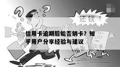 信用卡逾期后能否销卡？知乎用户分享经验与建议