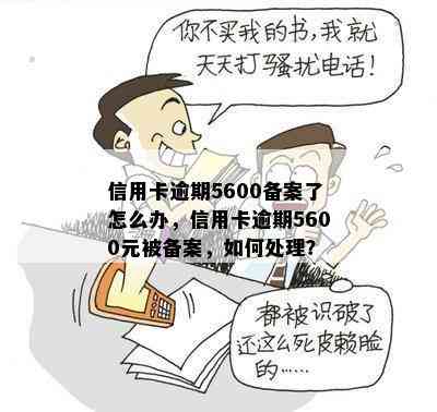 信用卡逾期5600备案了怎么办，信用卡逾期5600元被备案，如何处理？